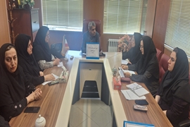 نشست درون‌بخشی ارتقای سلامت مادران در تالش برگزار شد