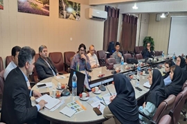 مدیر شبکه بهداشت تالش: تلاش پزشکان، اساس سلامت جامعه