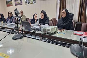 جلسه تخصصی بررسی و تحلیل شاخص‌های بهداشتی مرکز خدمات جامع سلامت روستایی کیشون بن 2