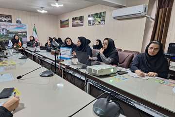 کارگاه آموزشی تحلیل و بررسی شاخص‌های برنامه‌های واحد جوانی جمعیت و سلامت خانواده 1