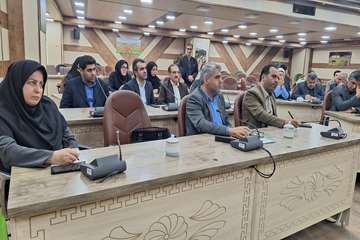 امنیت غذایی